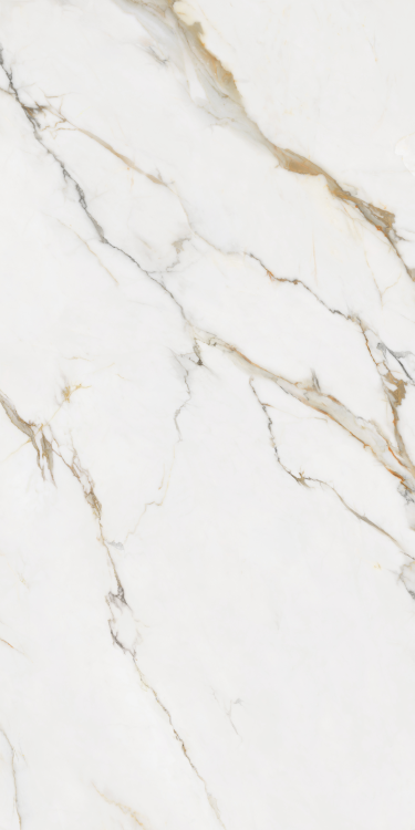 Time Dorado Matte 12 x 24